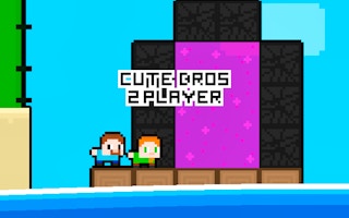 Cute Bros 2 Player Adventure Game