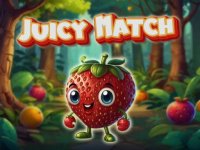 Juicy Match Puzzle Game - Puzzle Game