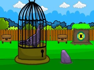 Rescue The Pigeon 2 - Point and Click Puzzle Game