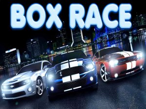 Box Race Online Game