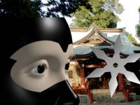 Ninja Training Arcade Game