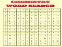 Word Search Puzzle Game