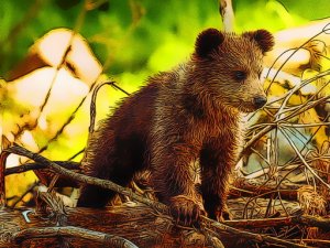 Cute Baby Bears Jigsaw Puzzle Online Game
