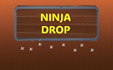 Ninja Drop Shuriken Game