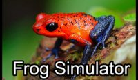 Frog Pond Adventure Simulator